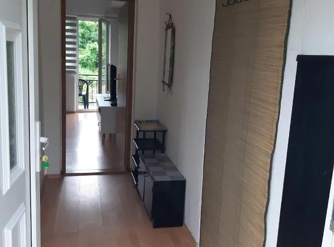 Konstantin * Visegrad